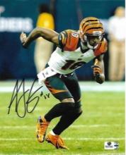 A.J. Green Cincinnati Bengals Autographed 8x10 Photo GA coa