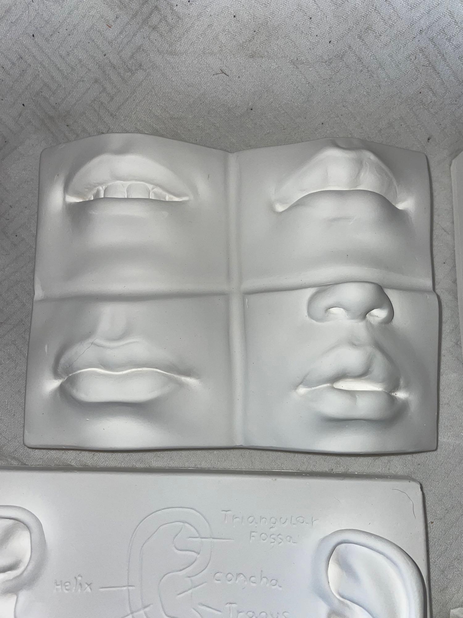 PCF Studios Art Molding Casts and Pottery Clay