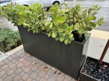 Black Plastic Outdoor Planter 60"W x 15"D x 30.5"H