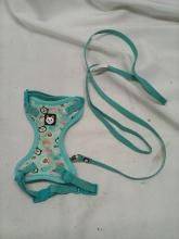 Cat Harness with leash