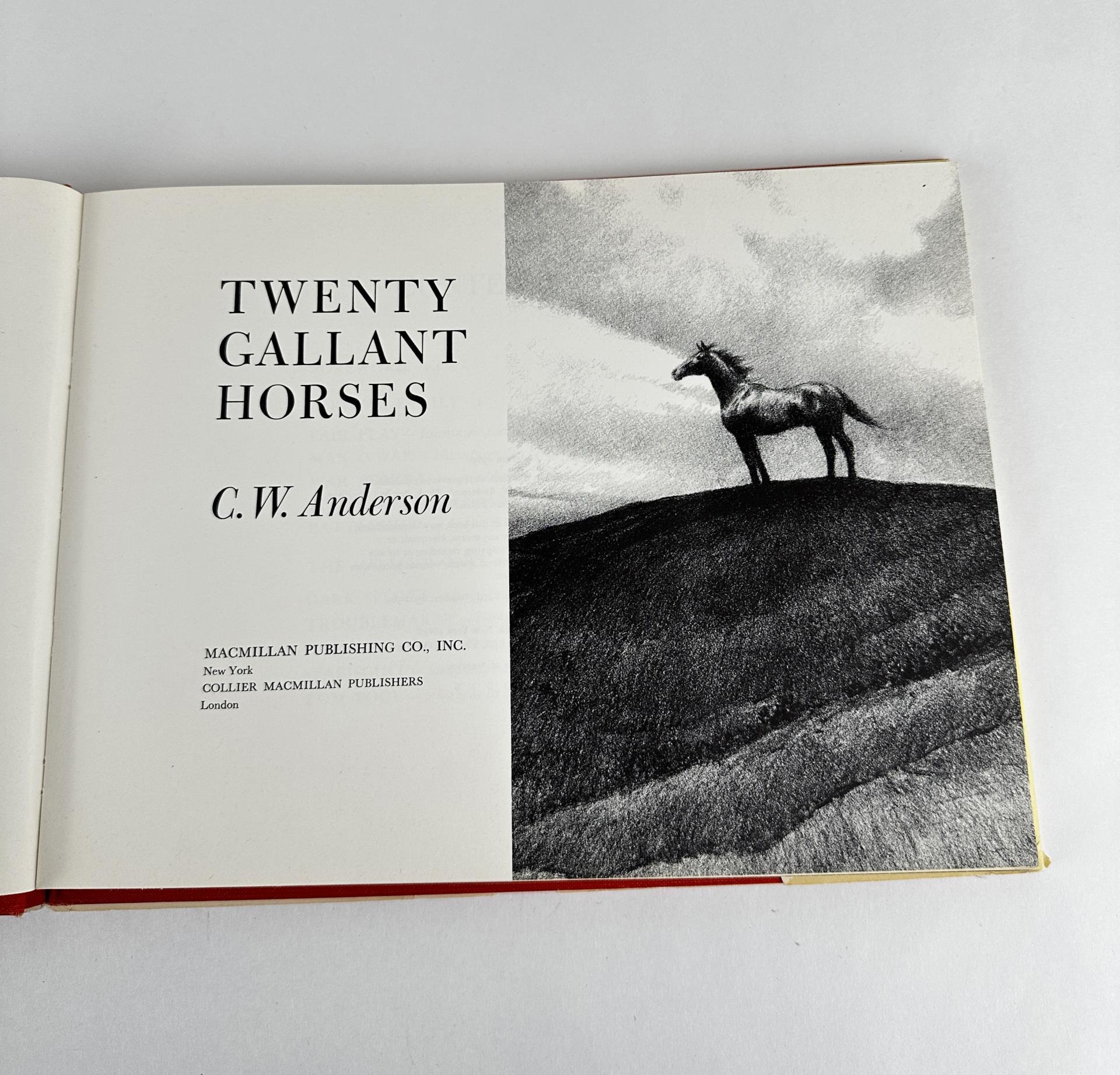 Twenty Gallant Horses