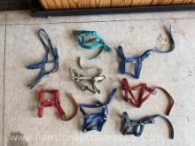 8, pony halters