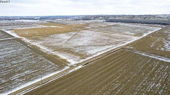 Sidney Sugars Incorporated Land Auction Tract 2
