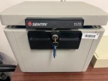 Sentry 1170 safe