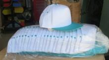 unprinted Baseball snap-back hats (one size fits all…white and teal)