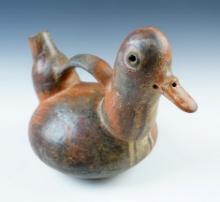 8" wide x 6 3/8" tall Pre-Columbian Vicus Muscovy Duck Effigy Bottle. Bill has been glued.