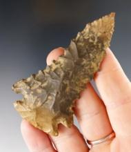 SUPERB! 3 1/16" Kentucky Pinetree with large serrations.  Ft. Payne Chert. Bennett COA.