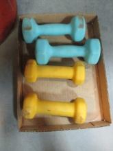 Pair of 2lb. And 3lb. Hand Weights