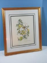 Titled "Carolina Wren w/ Yellow Jessamine" State Bird And State Flower of South Carolina