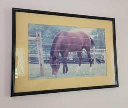 Horse Picture in Frame $1 STS